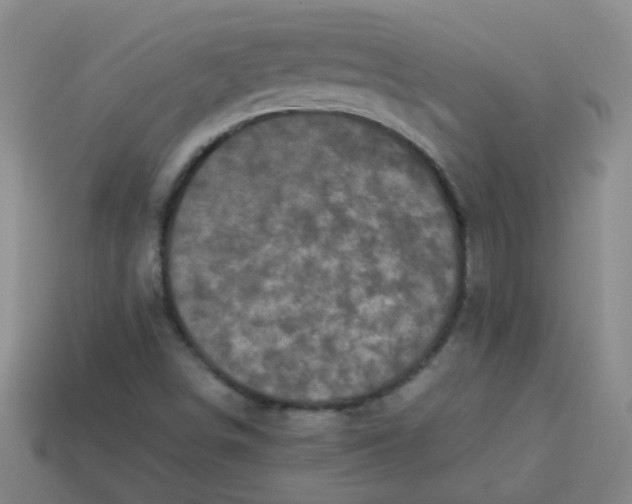 X0000113881498200910151301