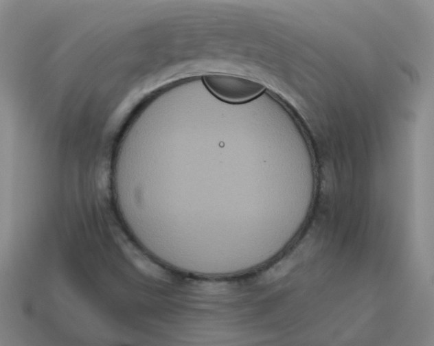 X0000113881499200910151301