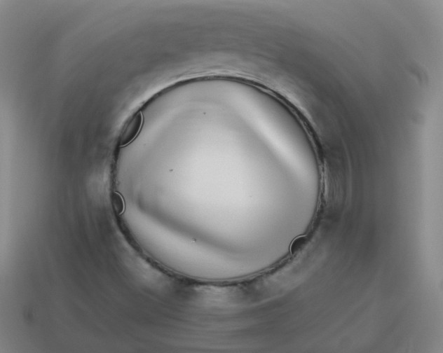 X0000113881500200910151301