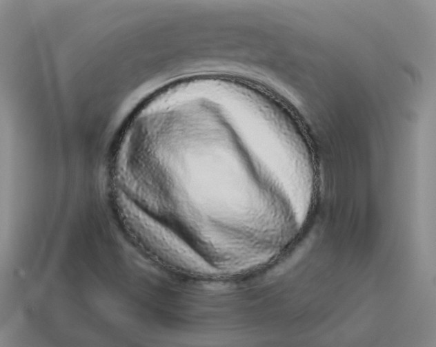 X0000113881501200910151301