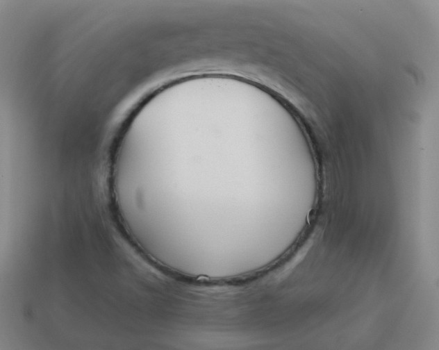 X0000113881502200910151301