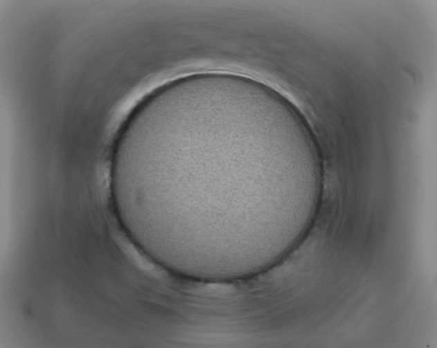 X0000113881503200910151301