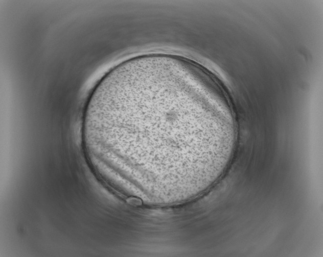 X0000113881504200910151301