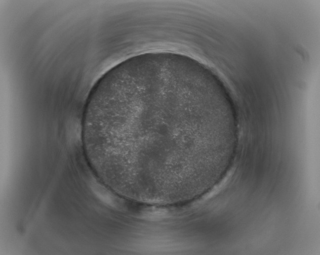 X0000113881505200910151301