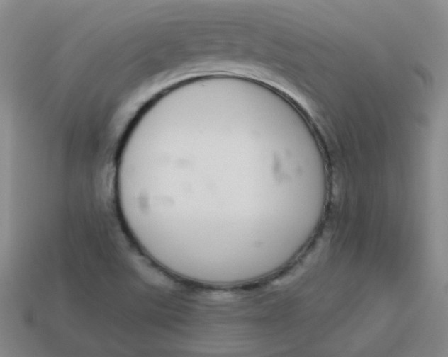 X0000113881507200910151301