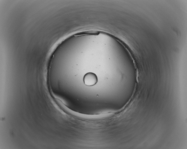 X0000113881508200910151301