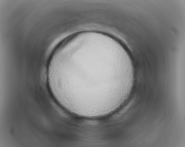 X0000113881509200910151301