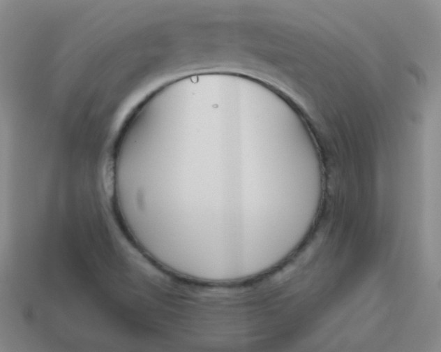 X0000113881510200910151301