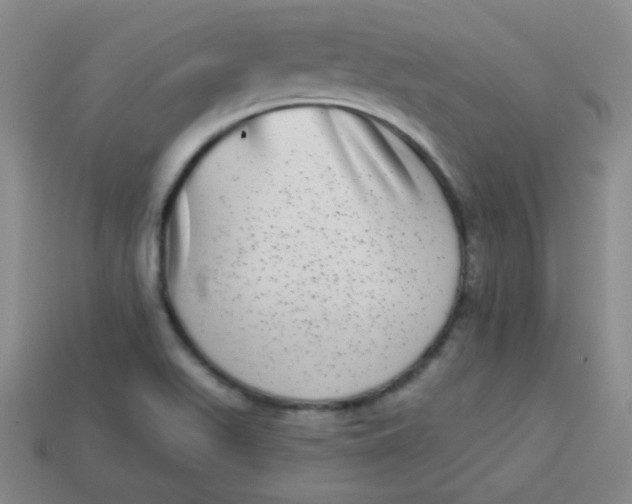 X0000113881511200910151301