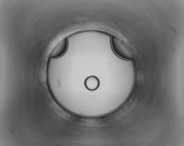 X0000113881512200910151301