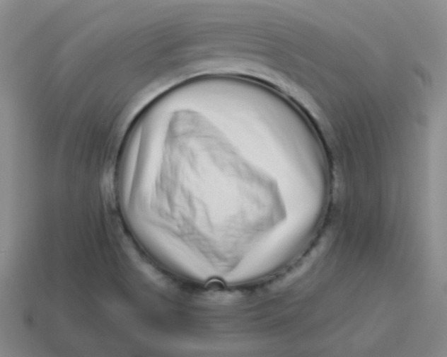 X0000113881513200910151301