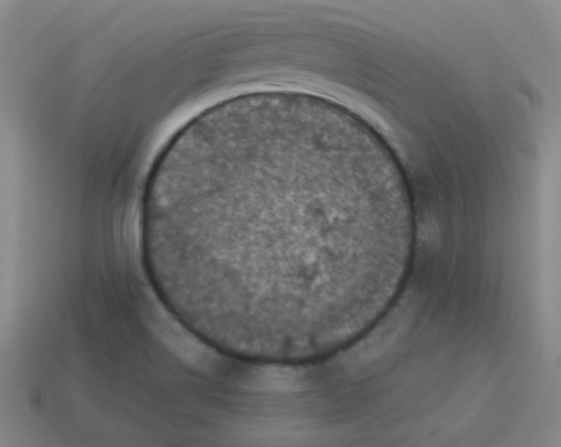 X0000113881514200910151301