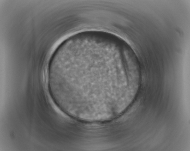 X0000113881515200910151301