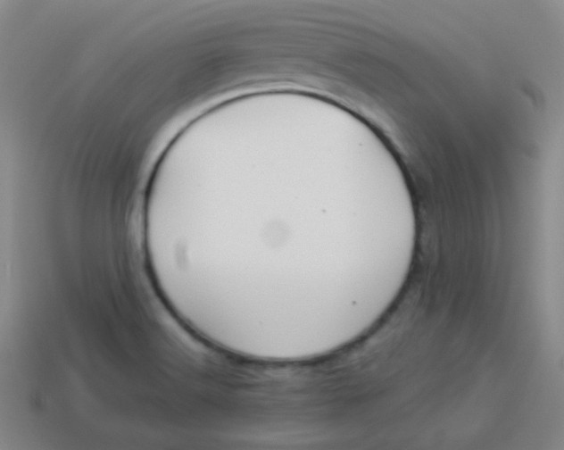 X0000113881516200910151301