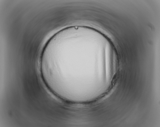 X0000113881517200910151301