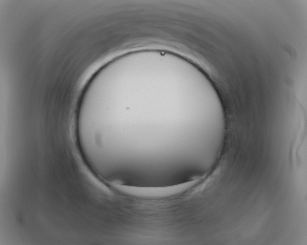 X0000113881518200910151301