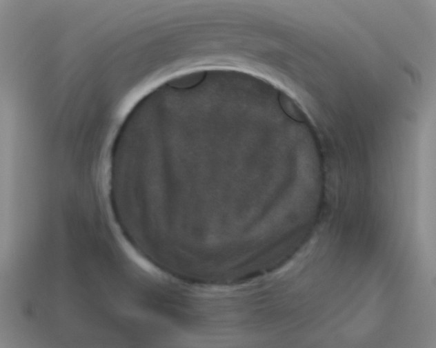 X0000113881519200910151301