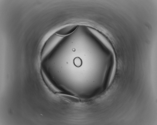 X0000113881520200910151301