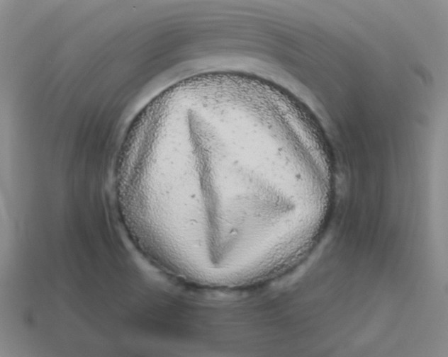 X0000113881521200910151301