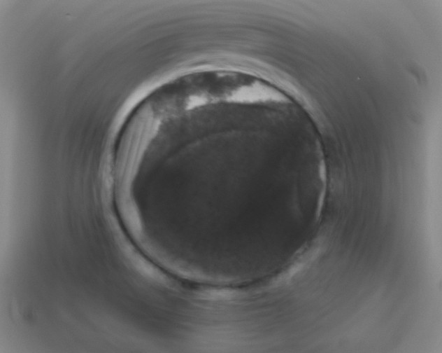 X0000113881522200910151301