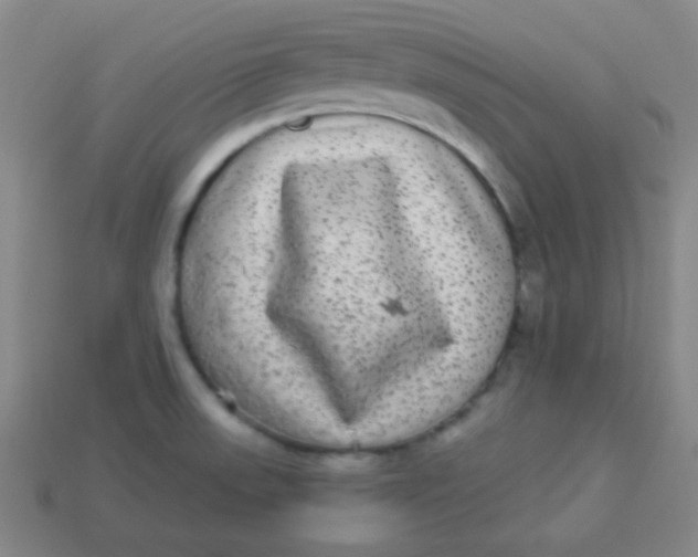 X0000113881523200910151301