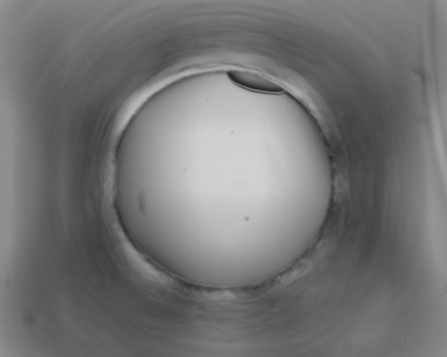 X0000113881524200910151302