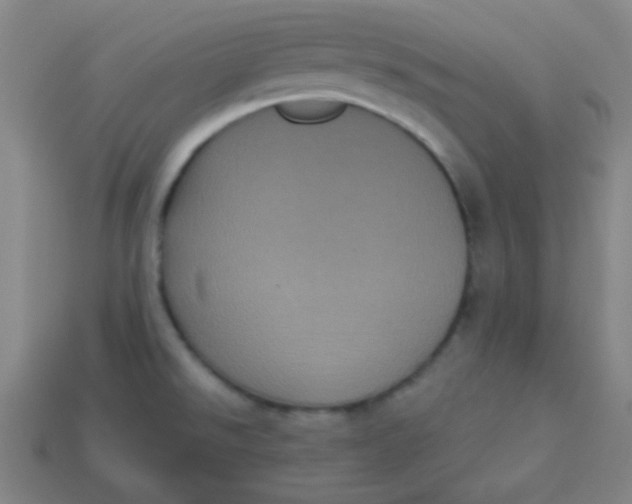 X0000113881526200910151302