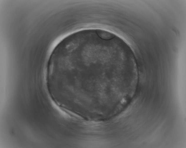 X0000113881527200910151302