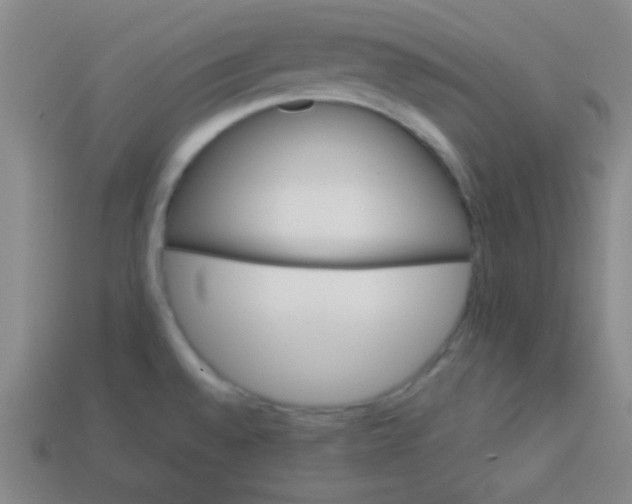 X0000113881528200910151302