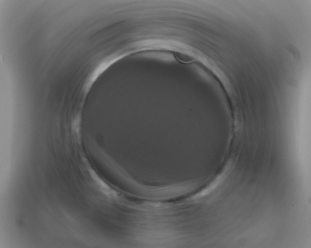 X0000113881529200910151302