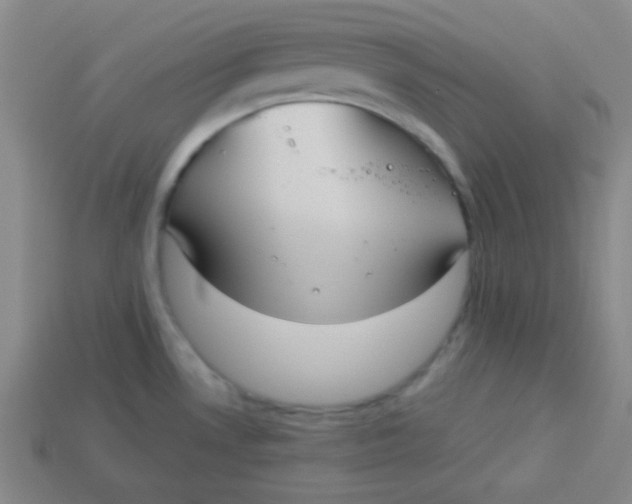 X0000113881530200910151302