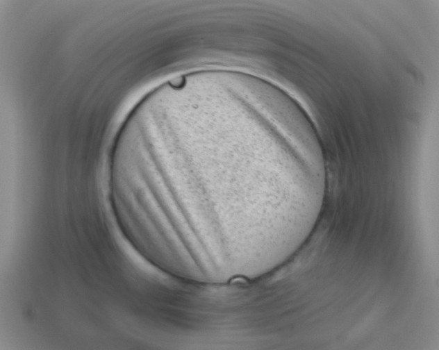 X0000113881531200910151302