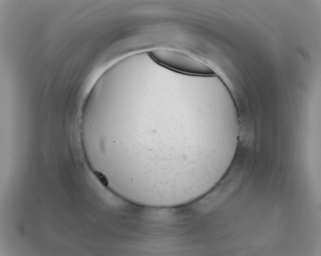 X0000113881532200910151302