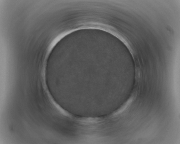 X0000113881533200910151302