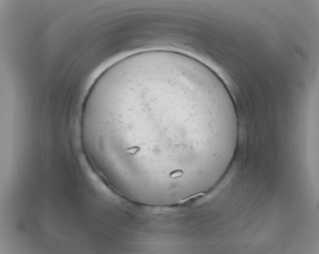 X0000113881534200910151302