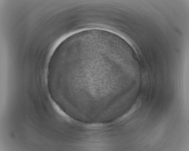 X0000113881535200910151302