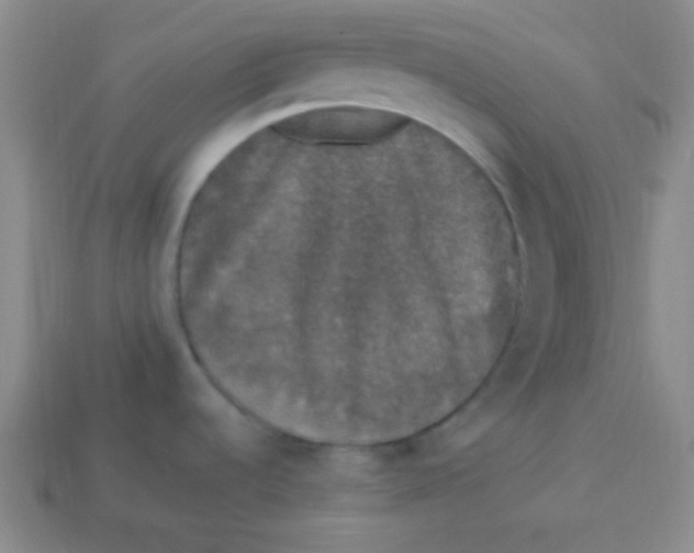 X0000113881536200910151302