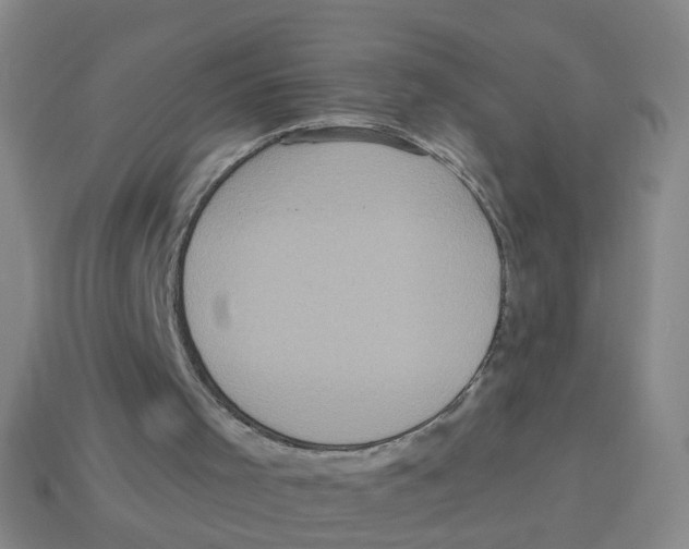 X0000113880001200910221406
