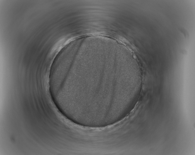 X0000113880002200910221405