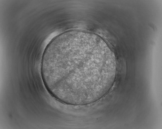 X0000113880003200910221405