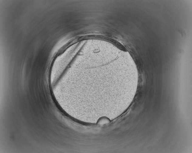 X0000113880004200910221405