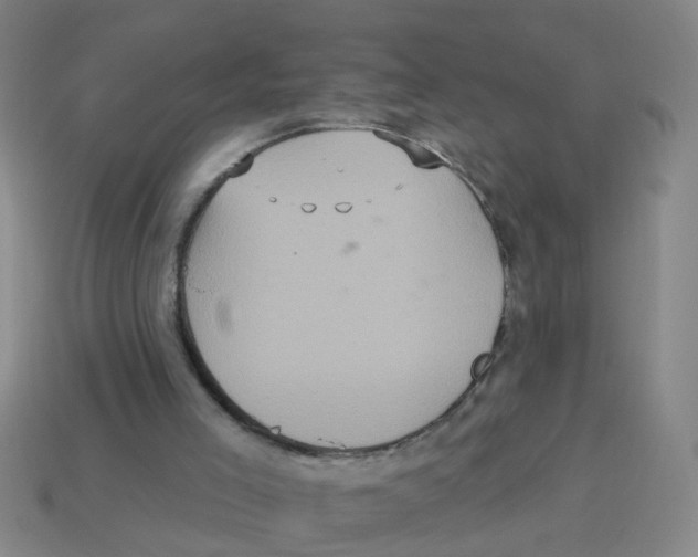 X0000113880005200910221405