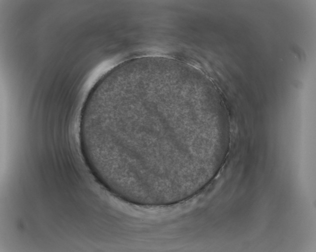 X0000113880006200910221405