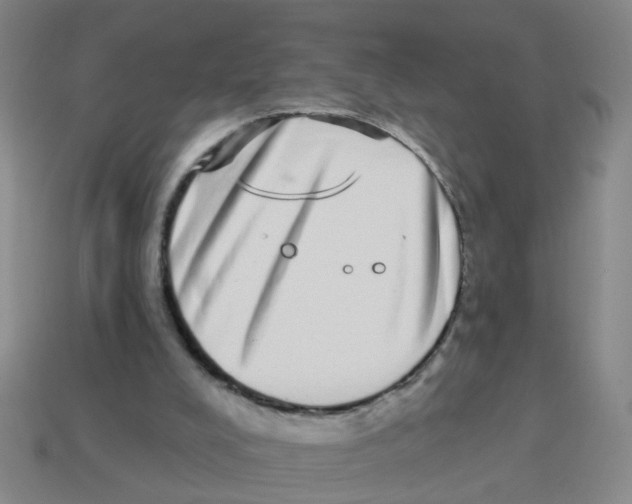 X0000113880008200910221405