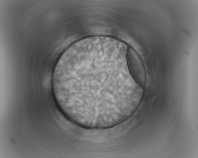 X0000113880009200910221405