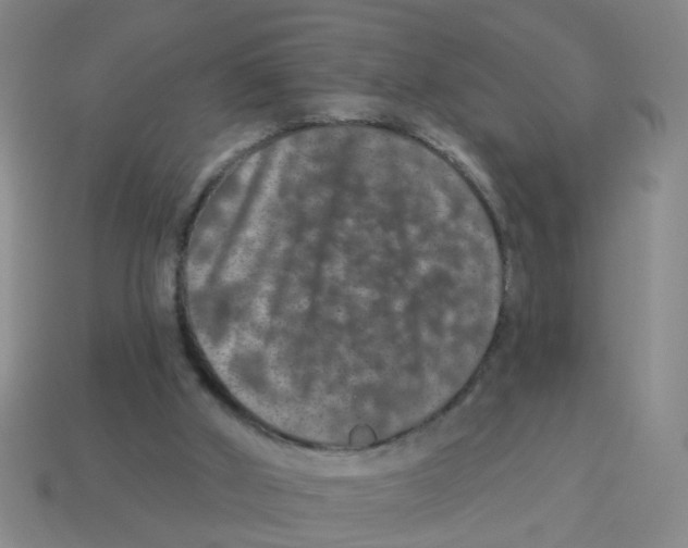X0000113880010200910221405