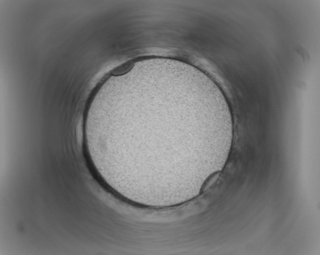 X0000113880011200910221405