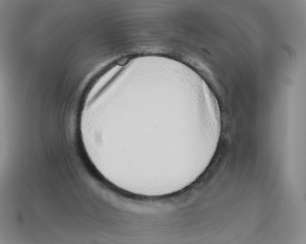X0000113880012200910221405