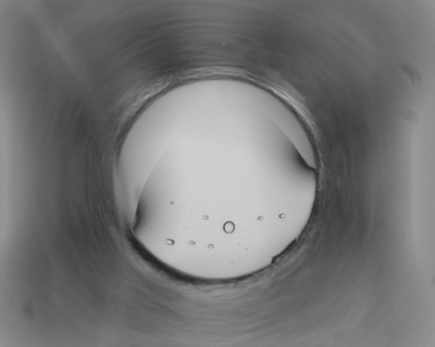 X0000113880013200910221405