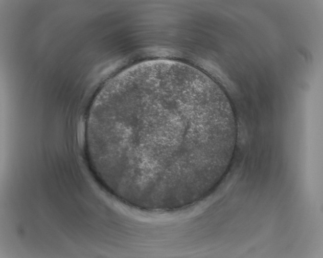 X0000113880014200910221405